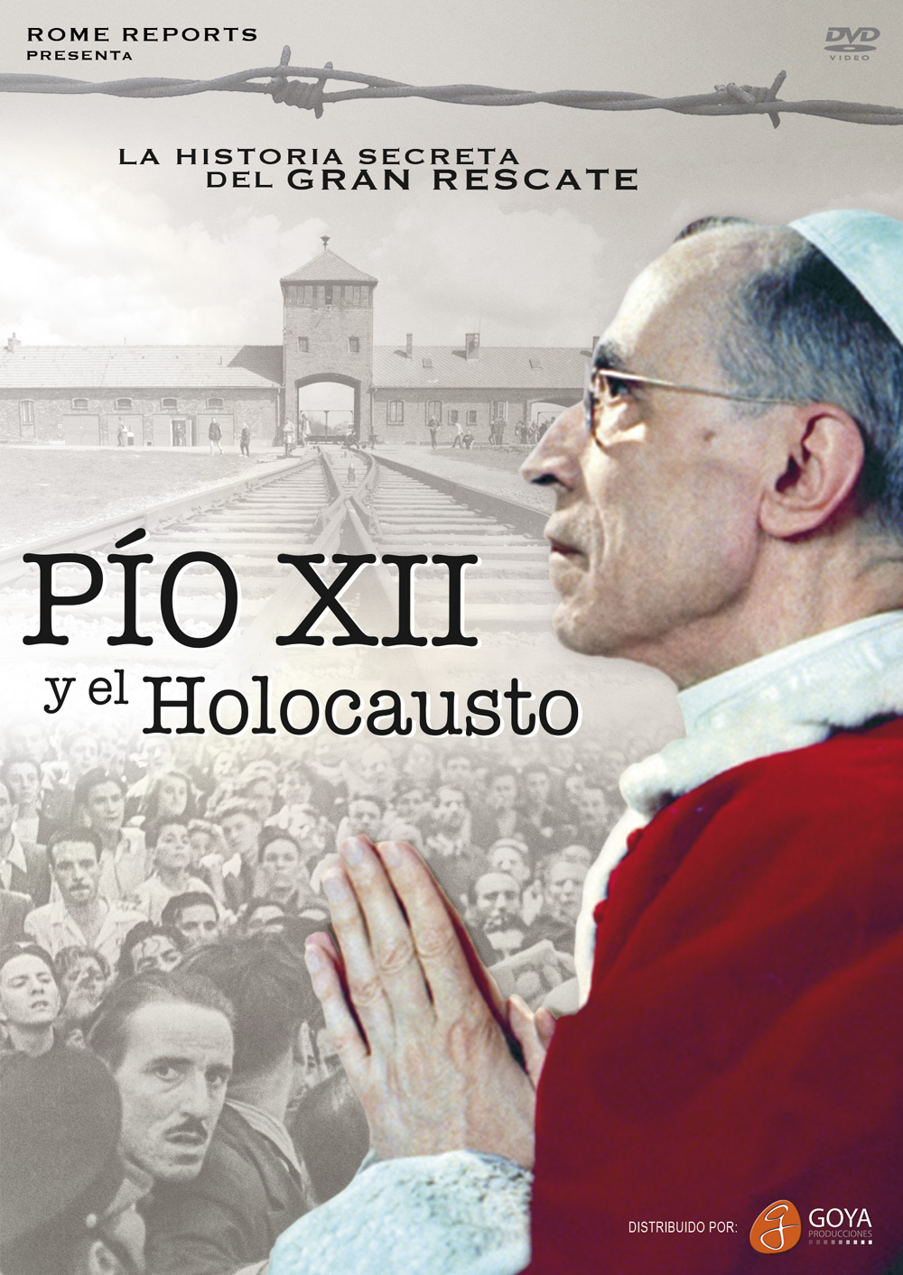 Pio XII y el Holocausto